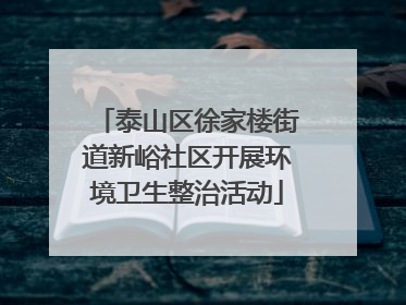 泰山区徐家楼街道新峪社区开展环境卫生整治活动
